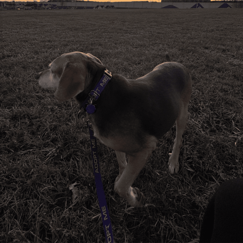 Website 1000x1000 (26)