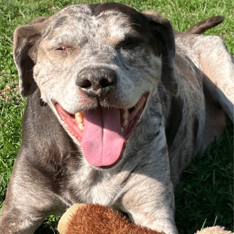 Website 1000x1000 (27)