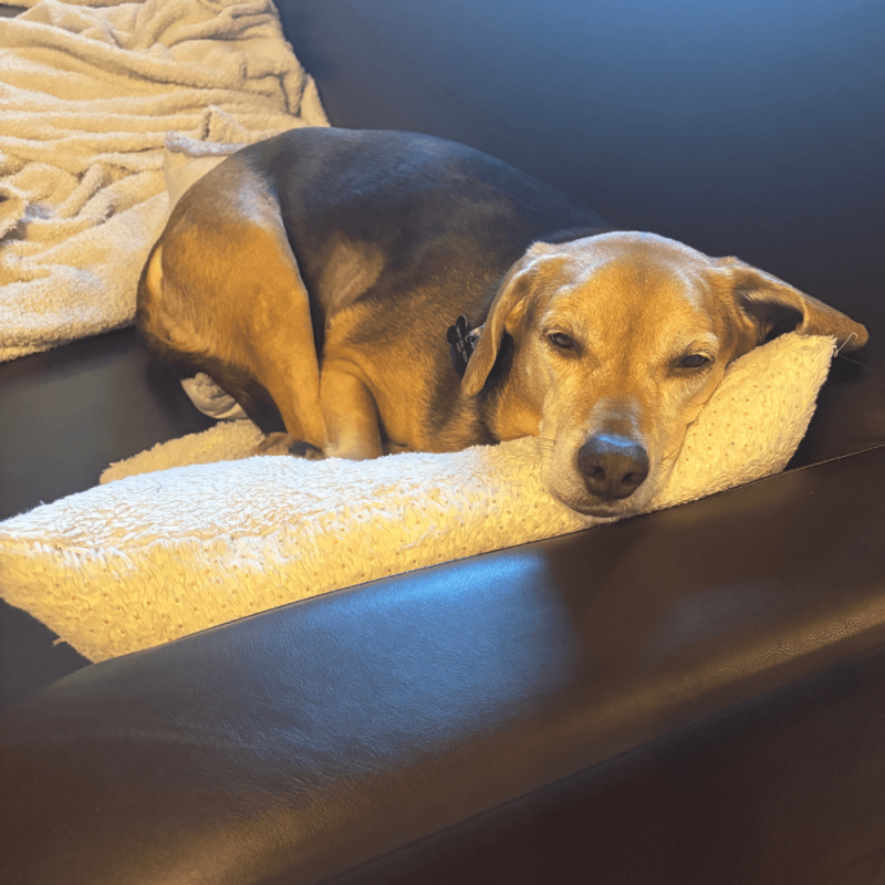 Website 1000x1000 (28)