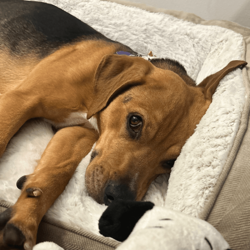 Website 1000x1000 (29)