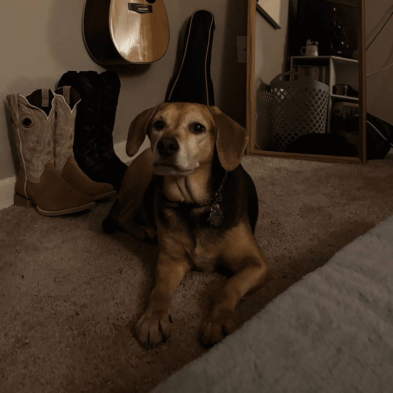 Website 1000x1000 (29)