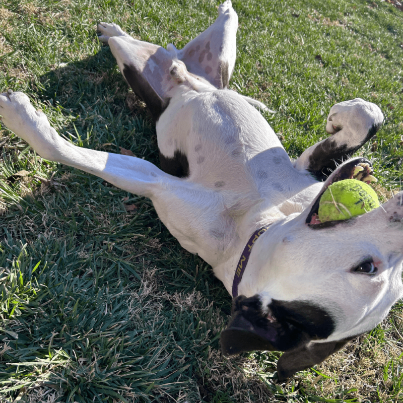 Website 1000x1000 (3)