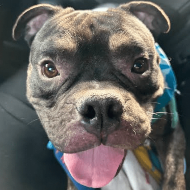 Website 1000x1000 (3)