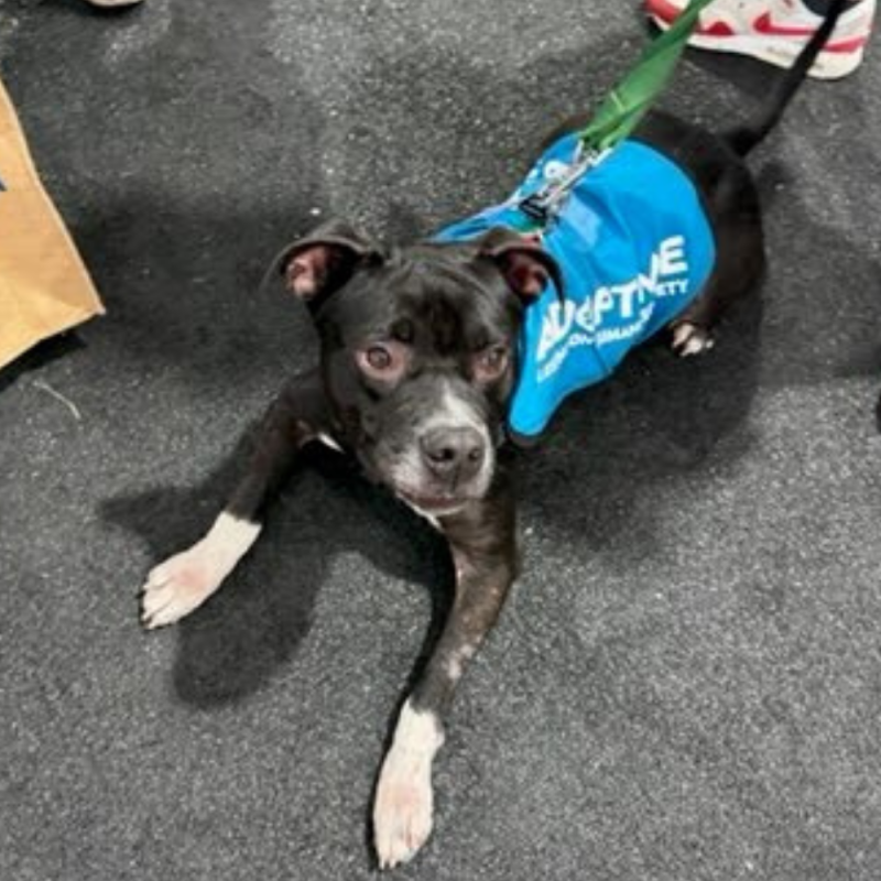 Website 1000x1000 (3)