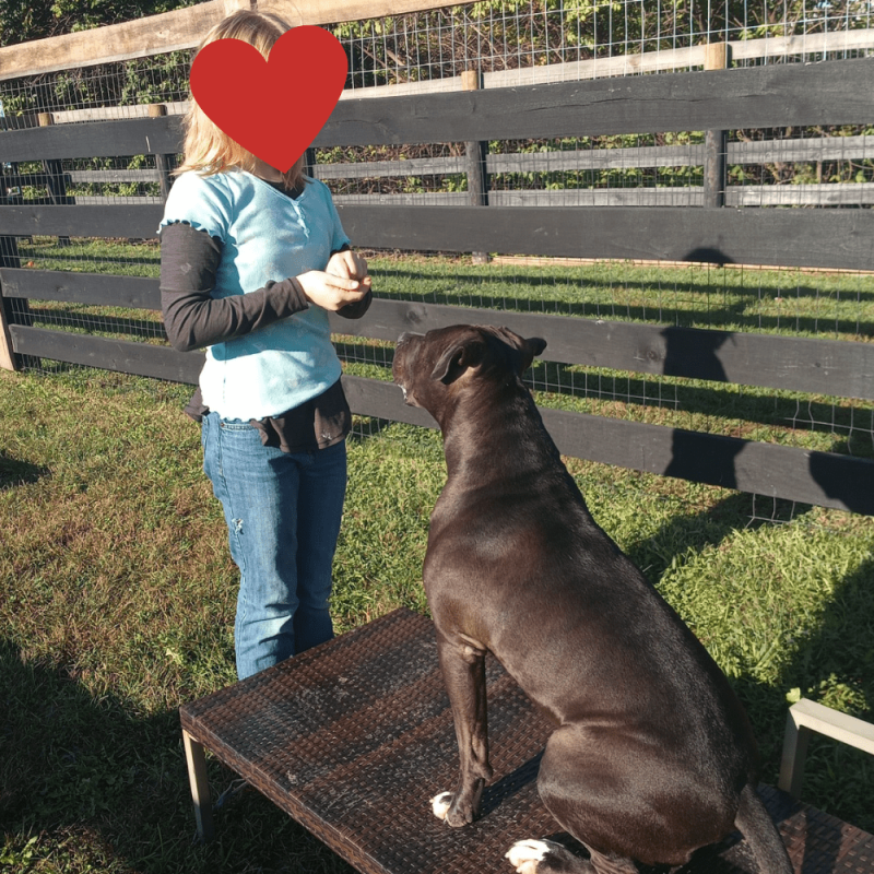 Website 1000x1000 (3)