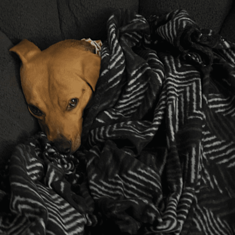 Website 1000x1000 (30)