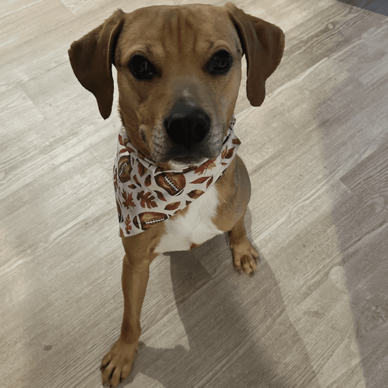 Website 1000x1000 (31)