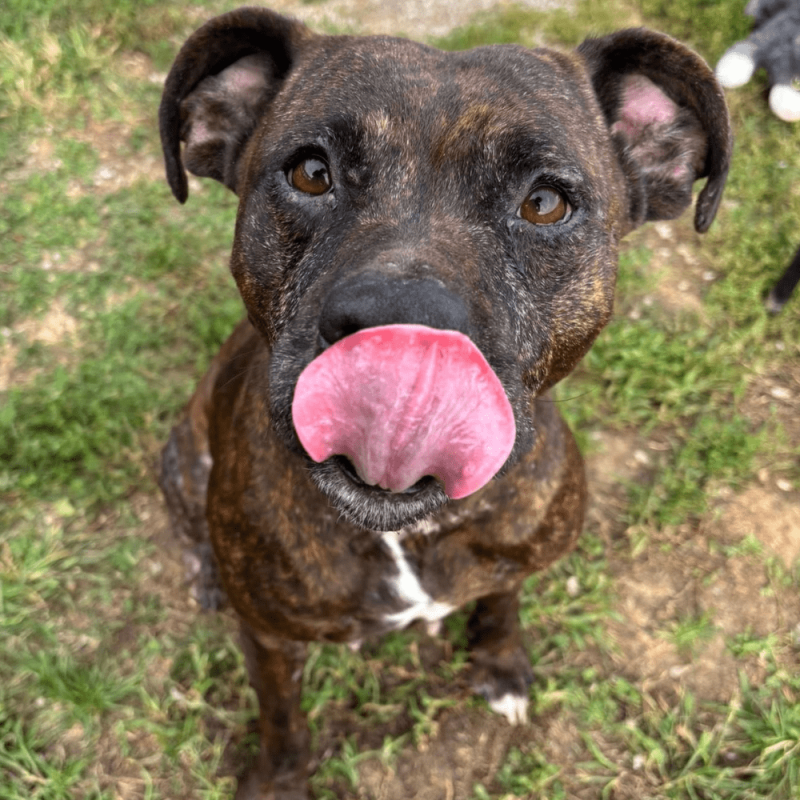 Website 1000x1000 (31)