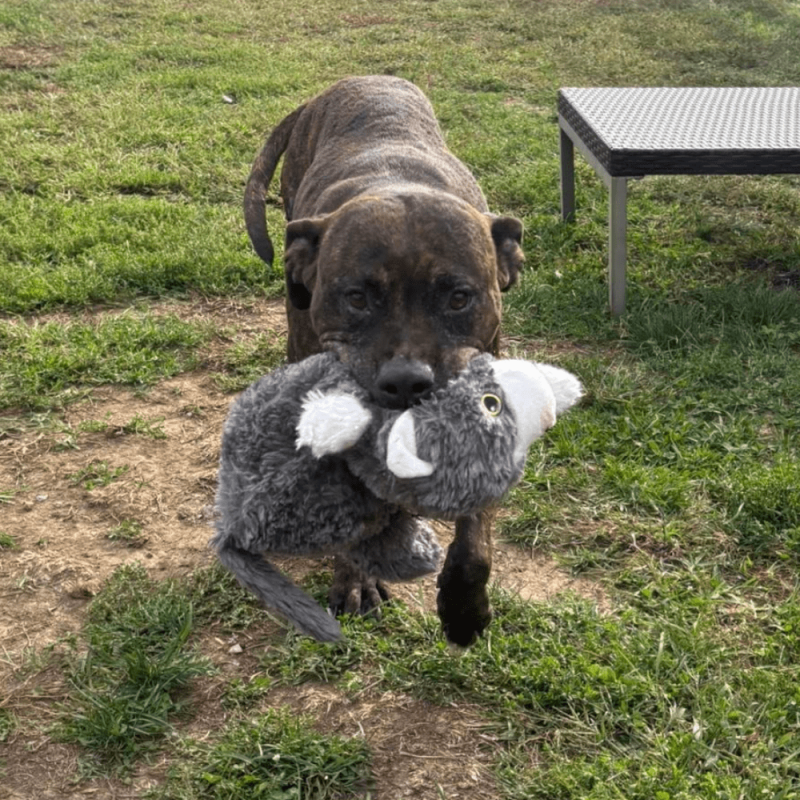 Website 1000x1000 (32)