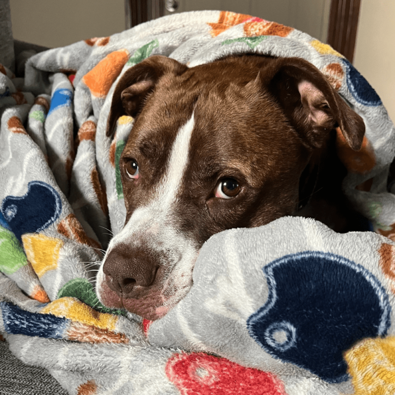 Website 1000x1000 (34)