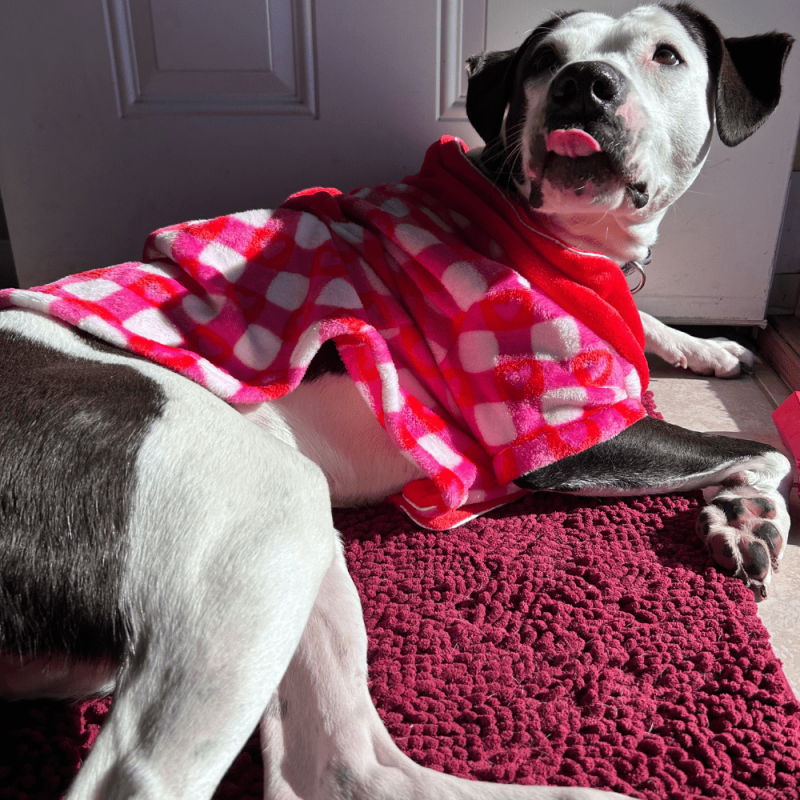 Website 1000x1000 (35)