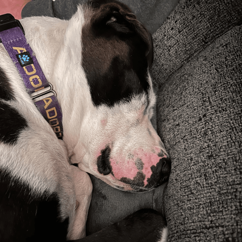 Website 1000x1000 (37)