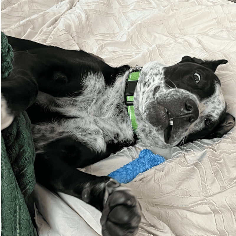 Website 1000x1000 (37)