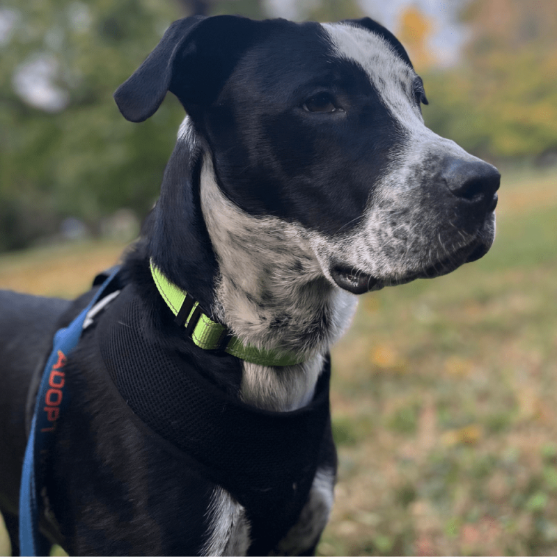 Website 1000x1000 (38)