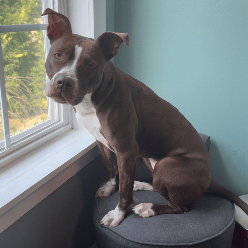 Website 1000x1000 (38)