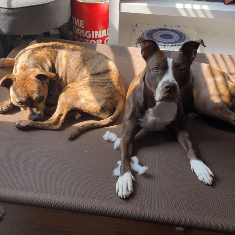 Website 1000x1000 (39)