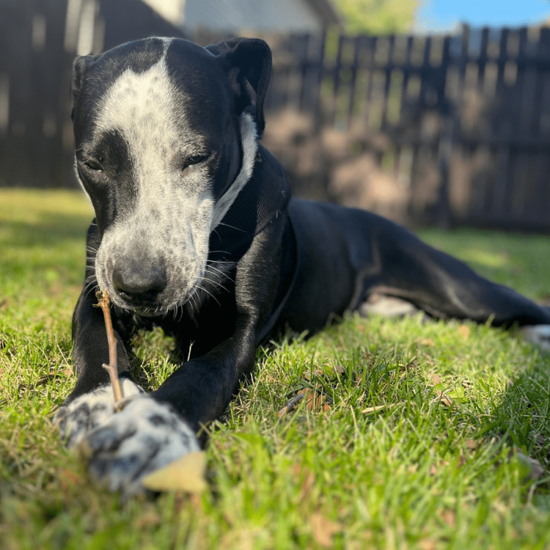 Website 1000x1000 (39)