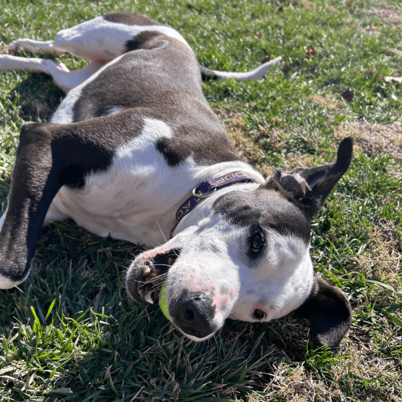 Website 1000x1000 (4)