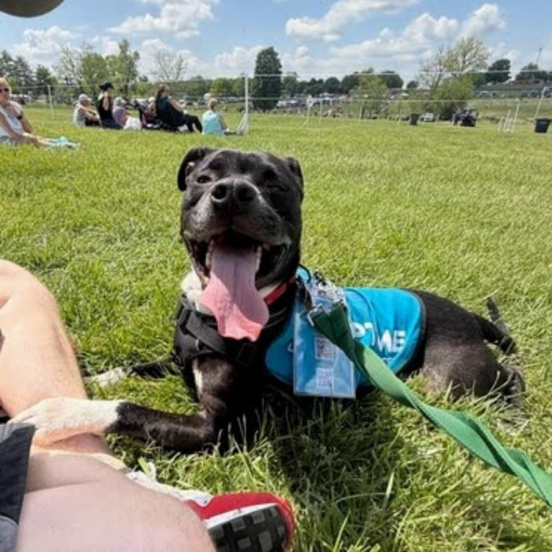 Website 1000x1000 (4)