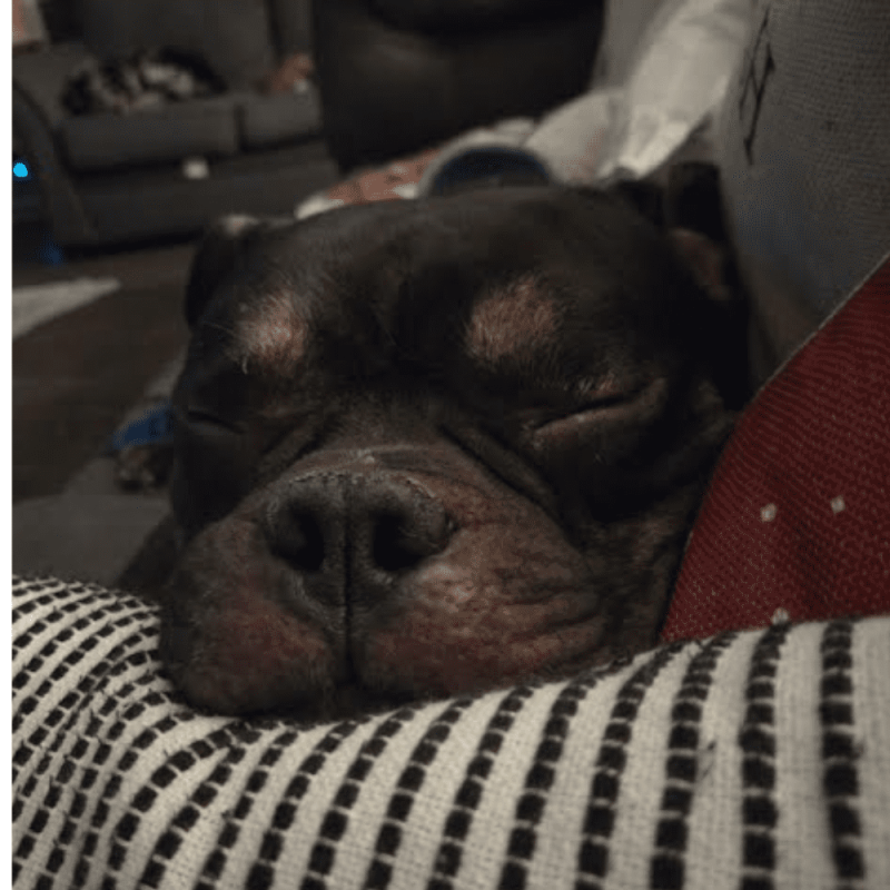 Website 1000x1000 (4)