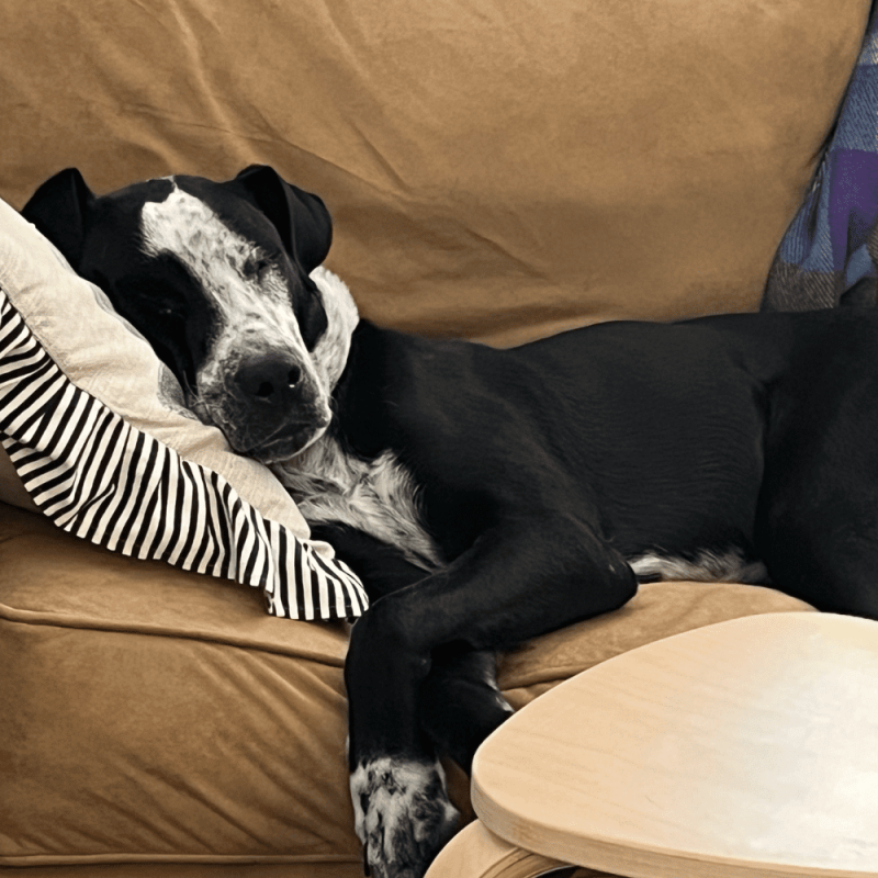 Website 1000x1000 (40)