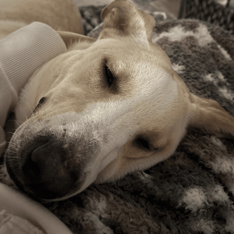 Website 1000x1000 (40)