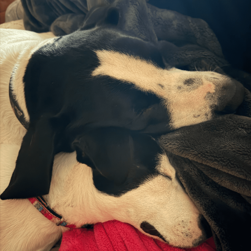 Website 1000x1000 (43)