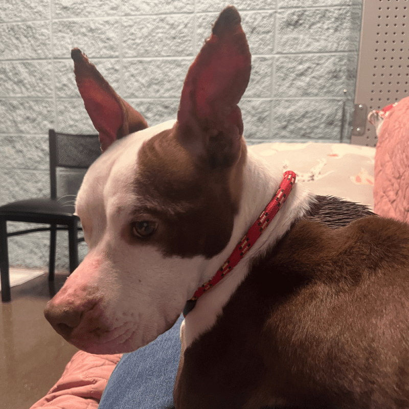 Website 1000x1000 (44)