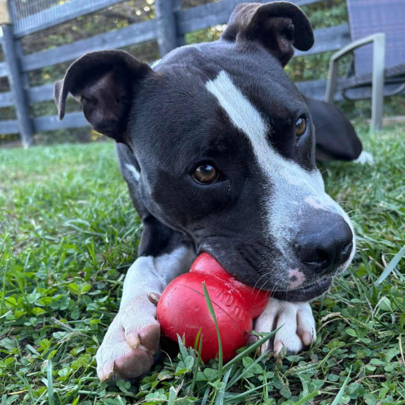 Website 1000x1000 (49)