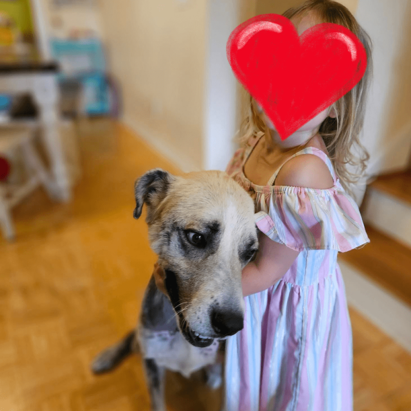 Website 1000x1000 (5)