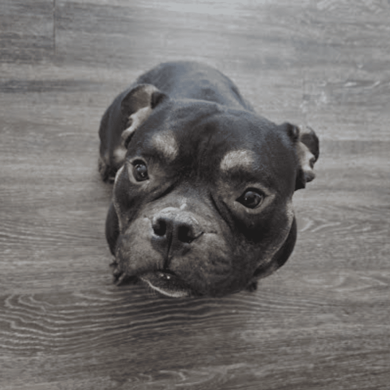 Website 1000x1000 (5)