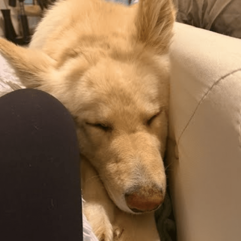 Website 1000x1000 (5)