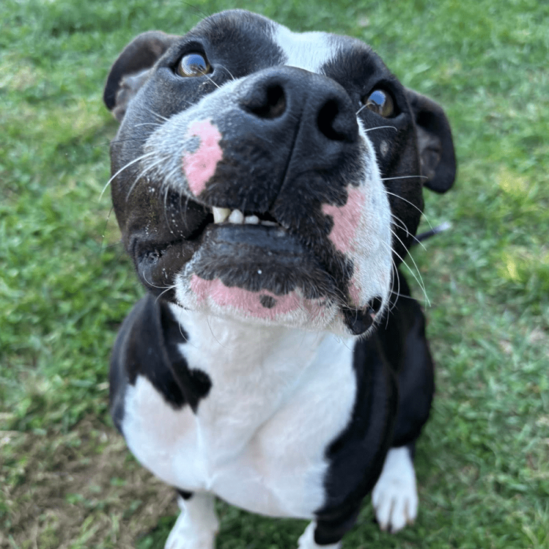 Website 1000x1000 (50)