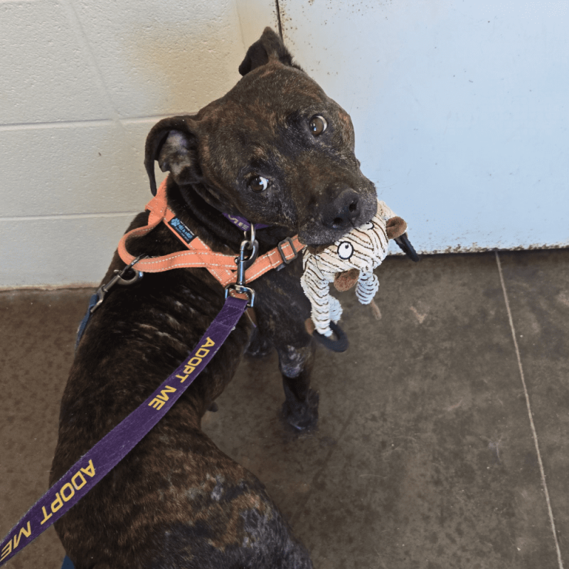 Website 1000x1000 (55)