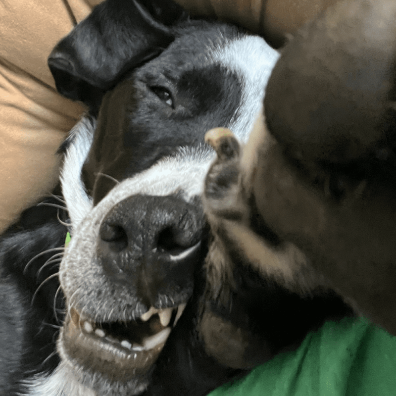 Website 1000x1000 (56)