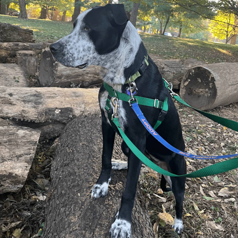 Website 1000x1000 (57)