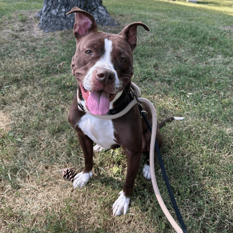 Website 1000x1000 (59)