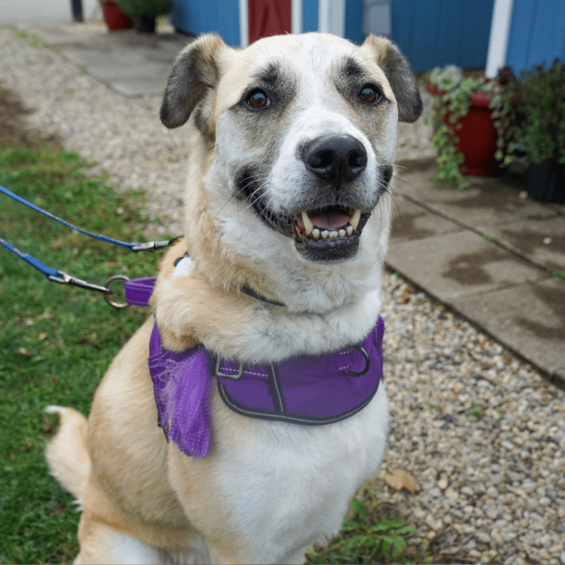 Website 1000x1000 (6)