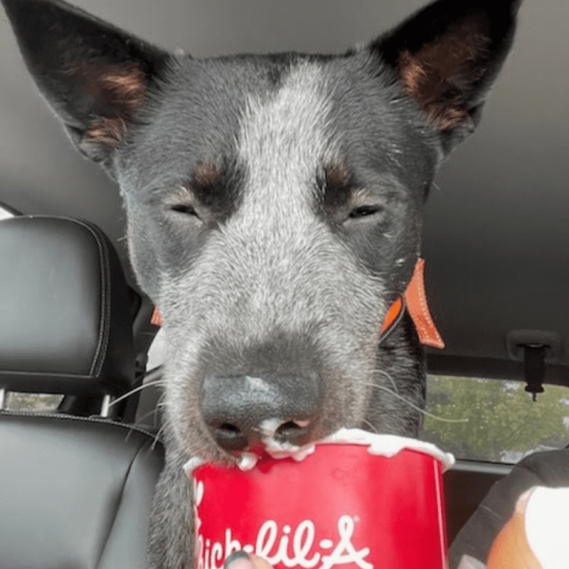 Website 1000x1000 (6)