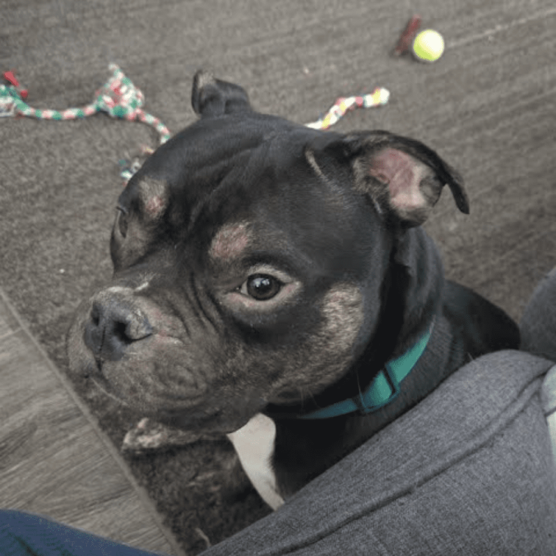 Website 1000x1000 (6)