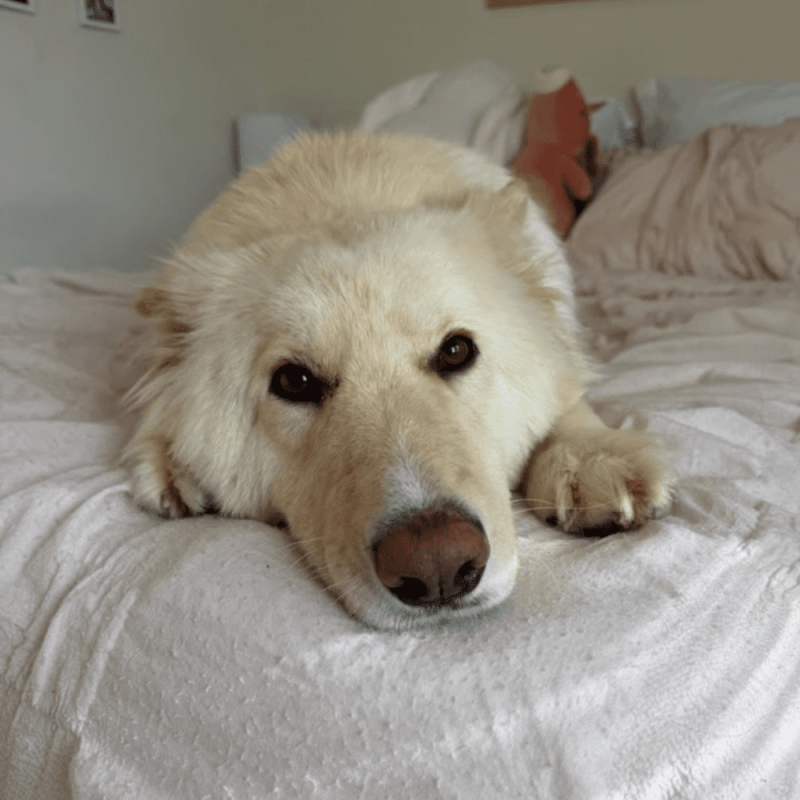 Website 1000x1000 (6)