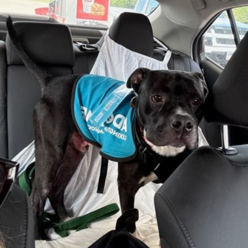 Website 1000x1000 (6)