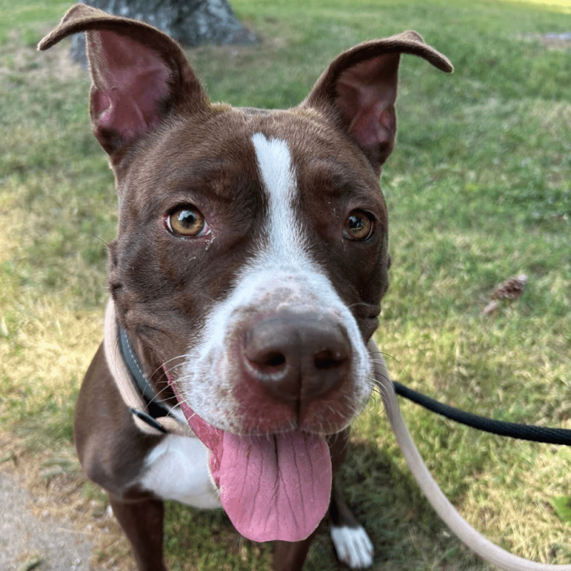 Website 1000x1000 (60)