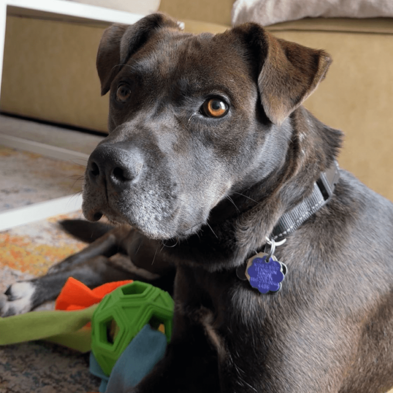 Website 1000x1000 (63)