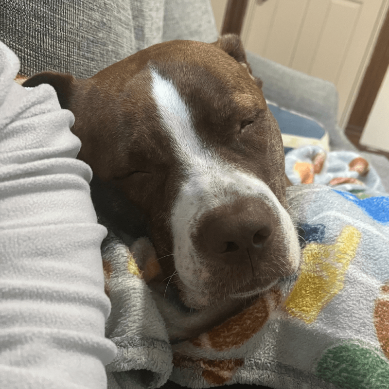 Website 1000x1000 (64)