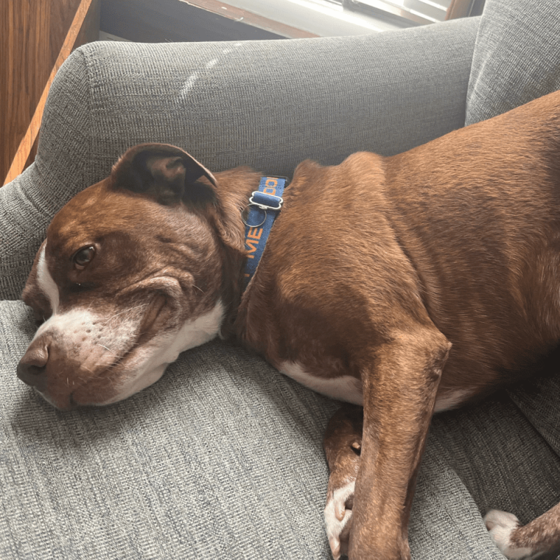 Website 1000x1000 (65)