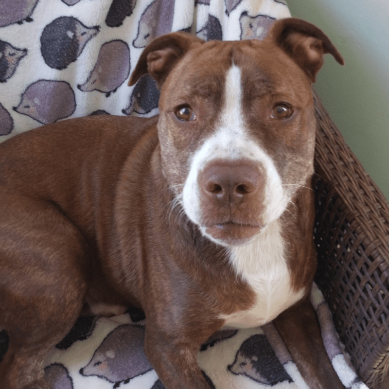 Website 1000x1000 (65)