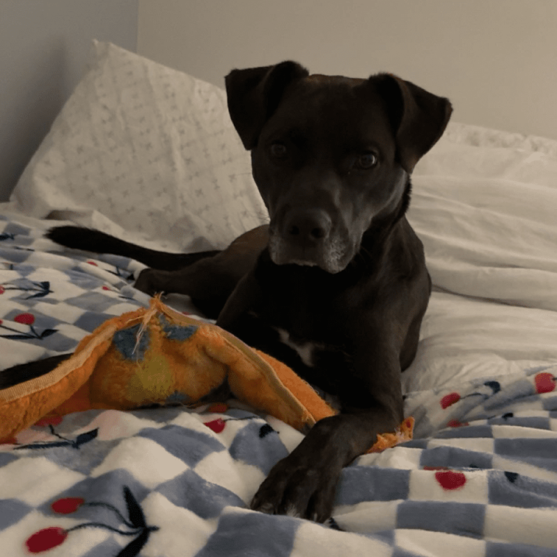 Website 1000x1000 (66)