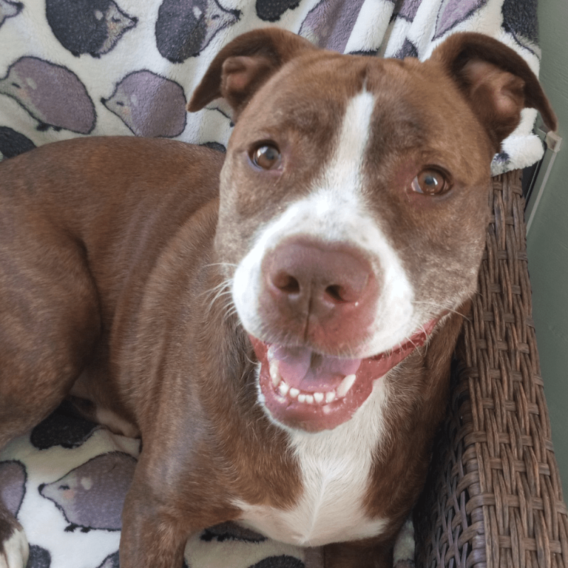 Website 1000x1000 (66)