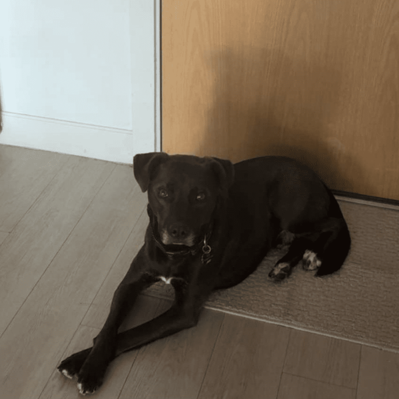 Website 1000x1000 (68)